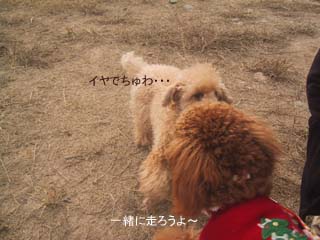 イヤでちゅわ・・・