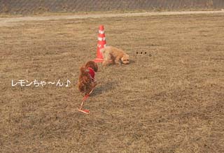 遊ぼ〜♪