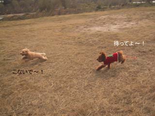 待ってよ〜♪