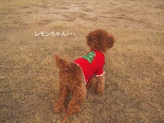 切ないでしゅ・・・