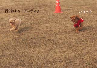 よ〜いドン!