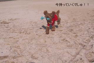 持っていくでしゅ!
