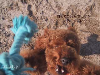 すごい?すごい?