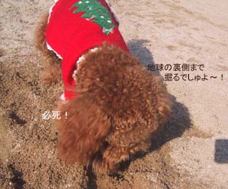 掘り堀り・・・