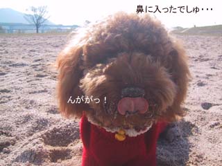 んががっ!