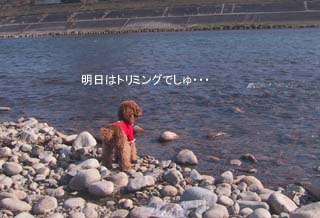 明日は・・・