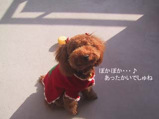 ぽかぽか♪