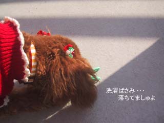 洗濯ばさみ・・・