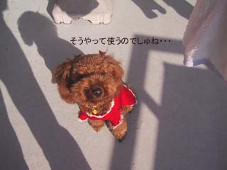 なるほど・・・