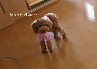 始まった・・・