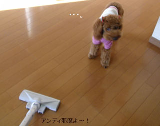 邪魔だってば〜!