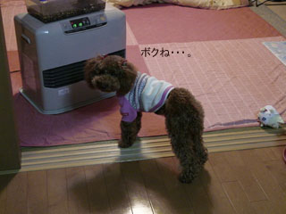 ボクね・・・。