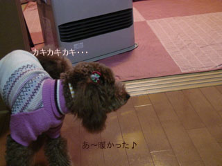 気持ちよか〜♪