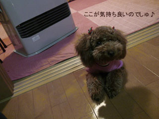 ベストポジション♪