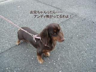怖がってるわよ・・・