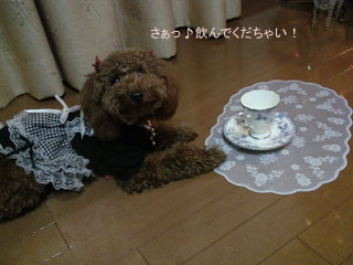 どーじょ♪