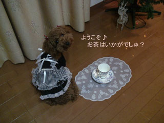 お茶はいかが?