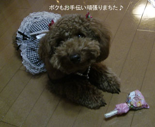 頑張りまちた♪