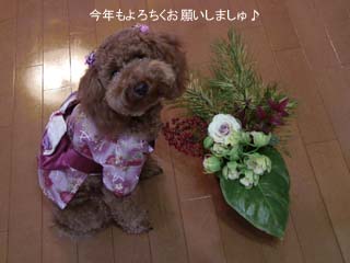 ご挨拶♪