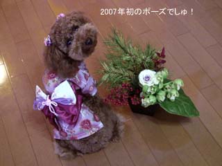初ポーズ♪