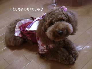 素敵な年でありますように♪