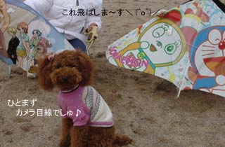 カメラ目線♪