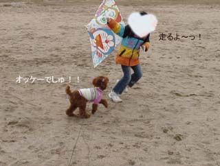 走るよっ!