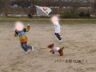 パワー全開!