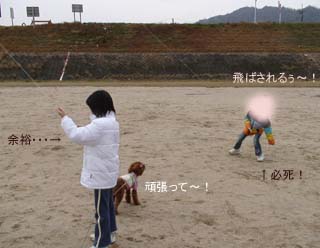 頑張って〜!