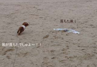 速攻!