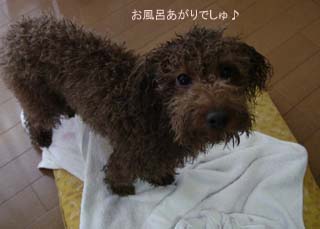 お風呂あがり♪