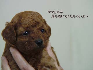 落ち着いてぇ〜