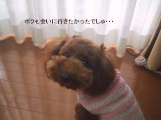 いじけてる?