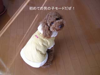 男の子モード♪