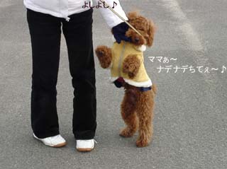 よしよし♪