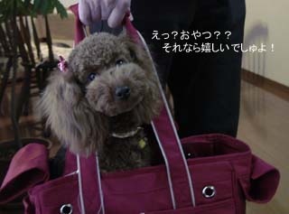 おやつは嬉しい♪