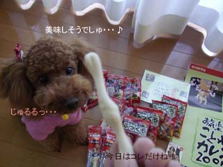 ミルクガム
