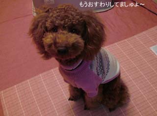 おすわり♪