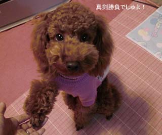 ハンド♪