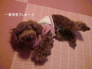 ネンネでしゅ♪