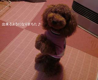 ちょ〜だい♪