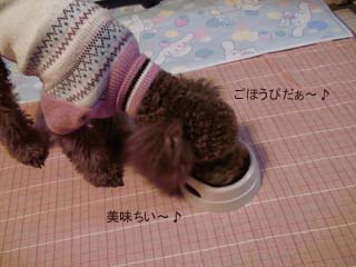 わ〜い♪