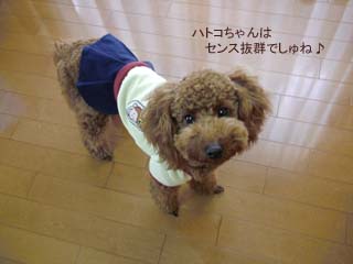センス抜群でしゅ♪