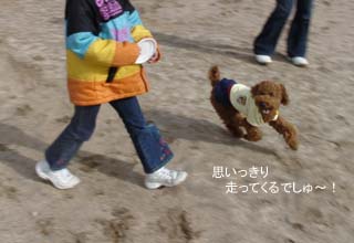 走るでしゅ〜!
