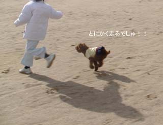 とにかく走る!