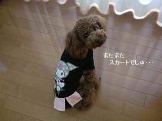 クロミちゃんスタイル