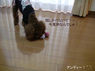 必死でしゅよ〜