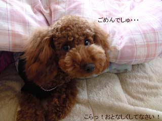 こらっ!!