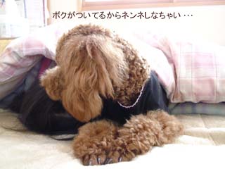 ボクがついてるよ・・・