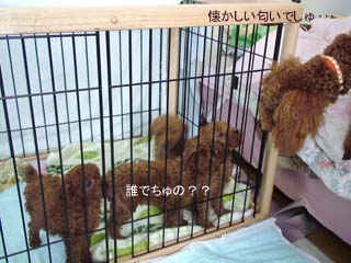 懐かしいでしゅ・・・